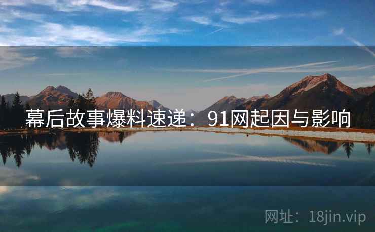 幕后故事爆料速递：91网起因与影响