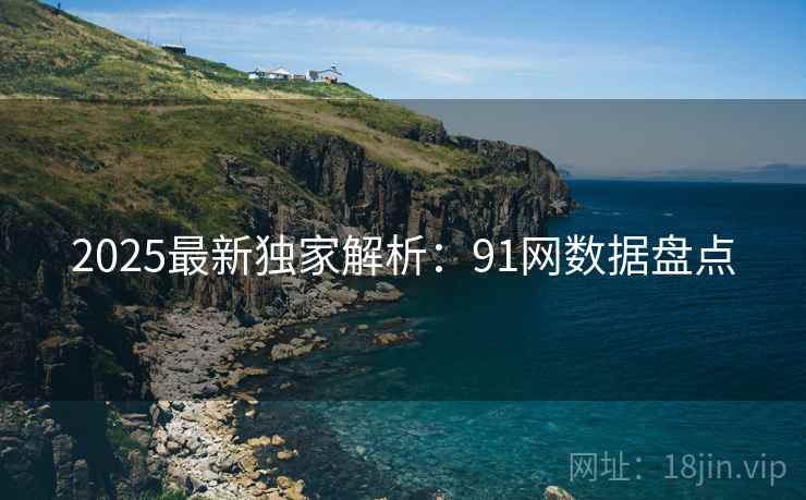 2025最新独家解析：91网数据盘点