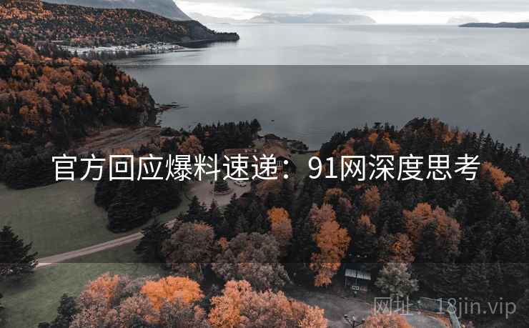 官方回应爆料速递：91网深度思考