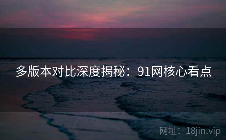 多版本对比深度揭秘：91网核心看点