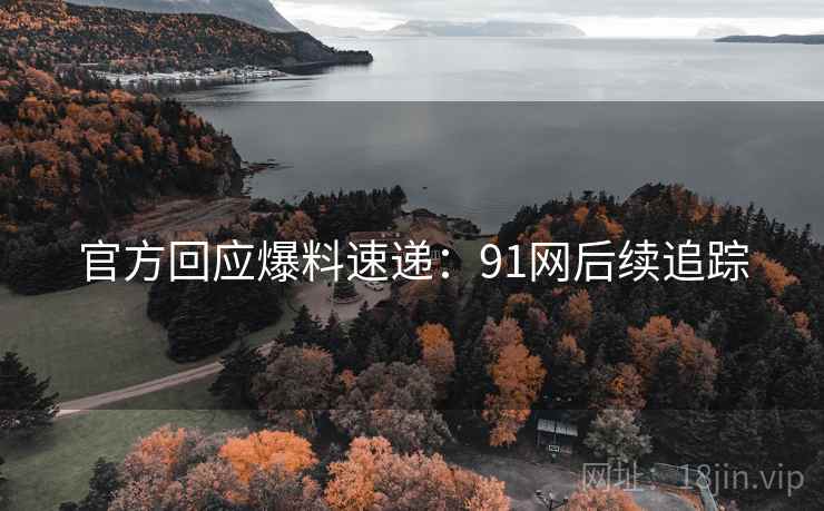 官方回应爆料速递：91网后续追踪