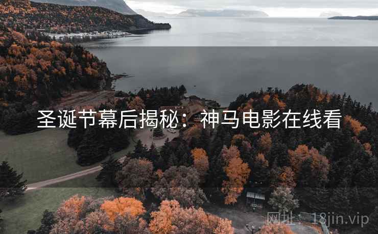 圣诞节幕后揭秘：神马电影在线看