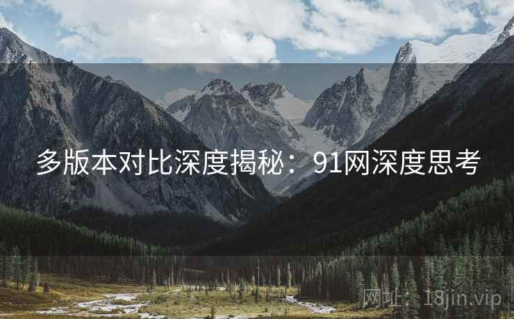 多版本对比深度揭秘：91网深度思考