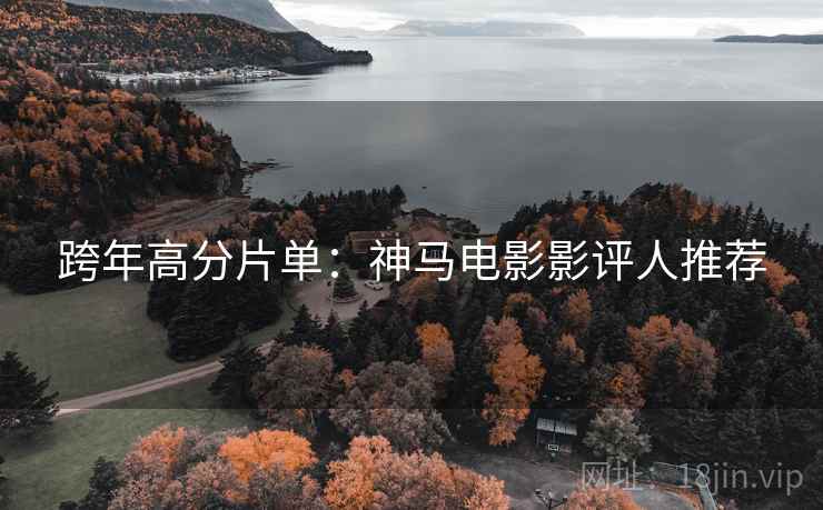 跨年高分片单：神马电影影评人推荐