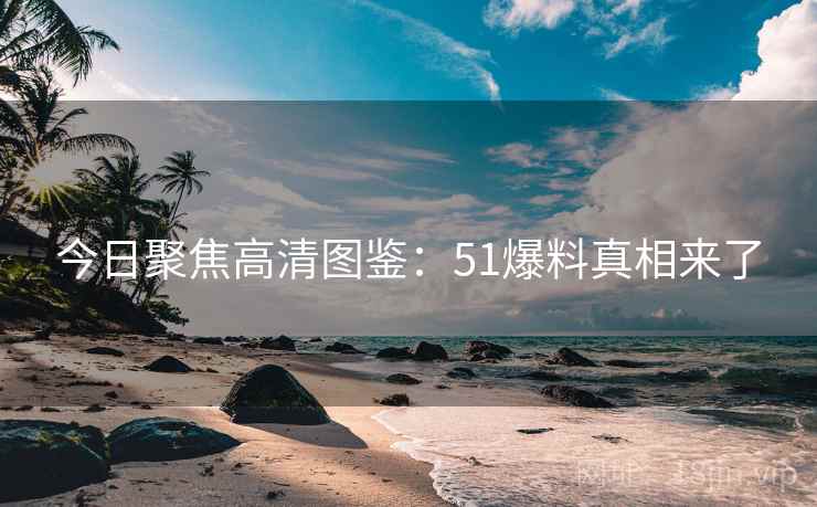 今日聚焦高清图鉴：51爆料真相来了